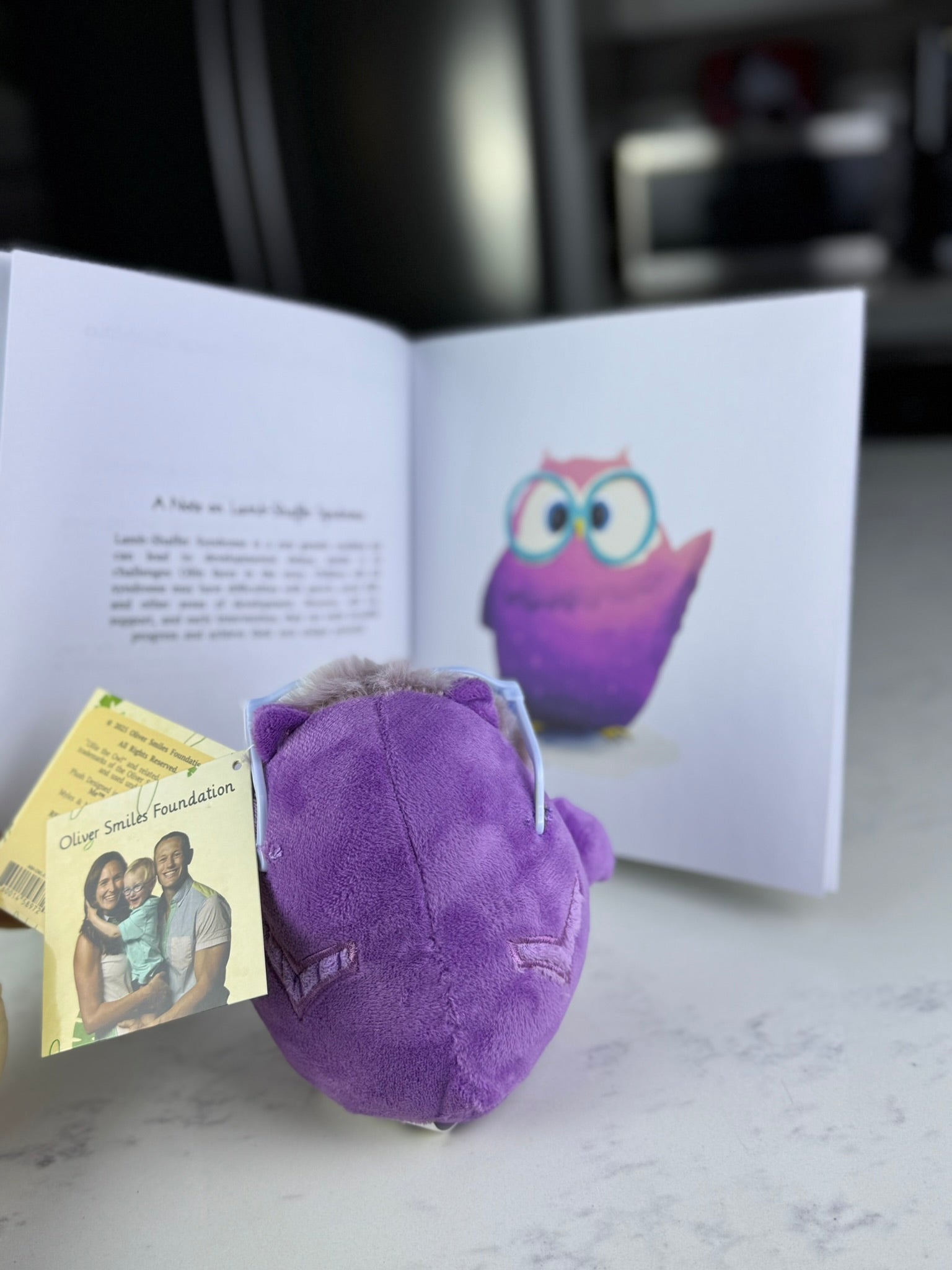 Ollie the Owl Lightly Weighted Sensory Plush Toy – Myles & Me